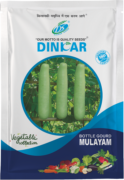 BOTTLE GOURD MULAYAM