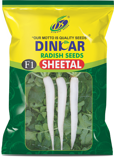 RADISH SHEETAL