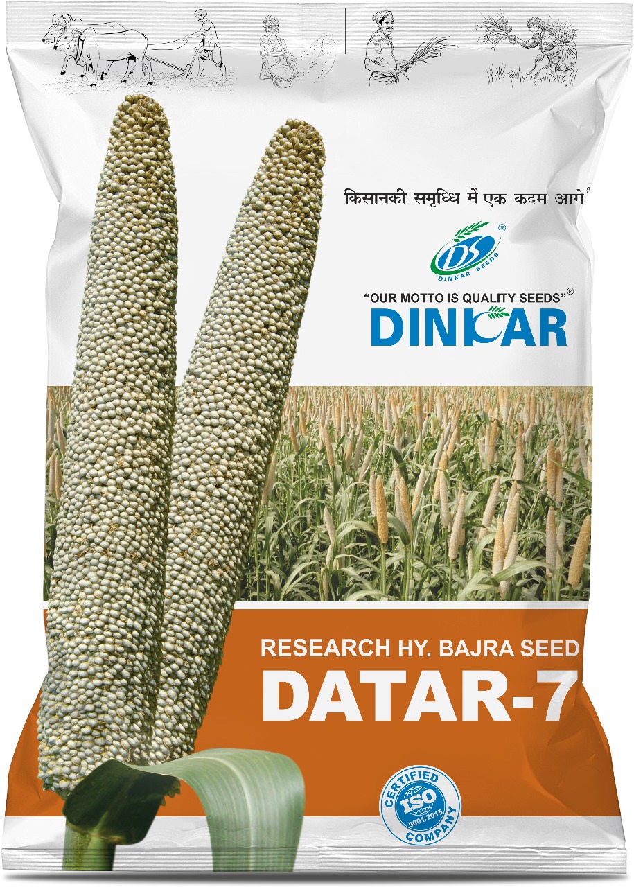 BAJARA DATAR 7