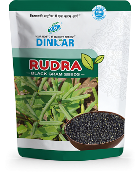 BLACK GRAM RUDRA
