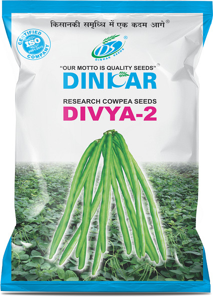 COWPEA DIVYA 2 