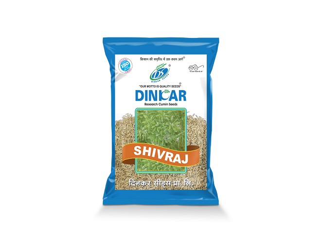 CUMIN SHIVRAJ