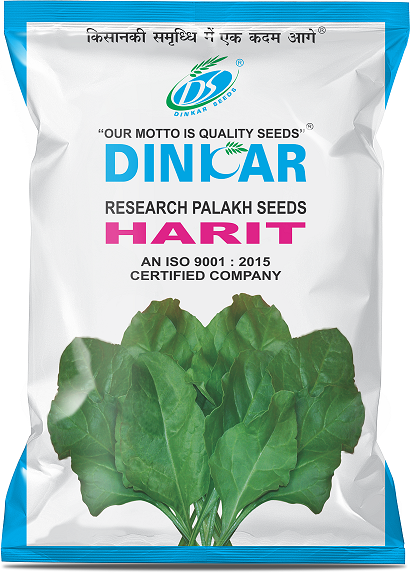 PALAK HARIT 