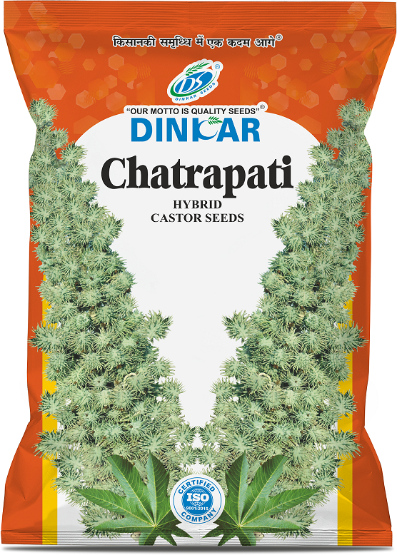 CASTOR CHATRAPATI
