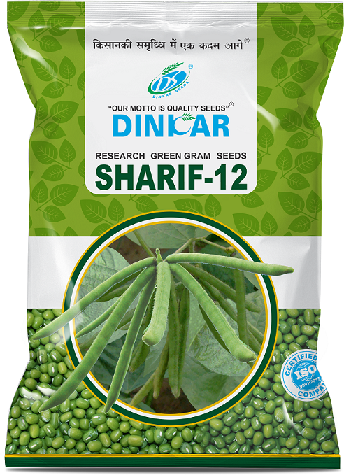 GREEN GRAM SHARIF 12 