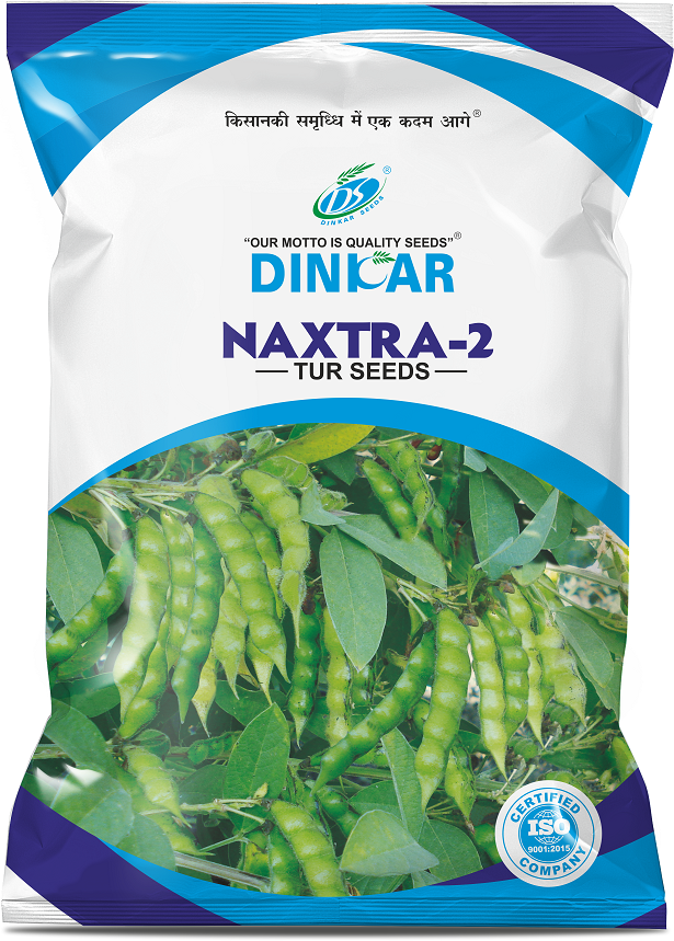 PIGEON PEA NAKSHTRA 2