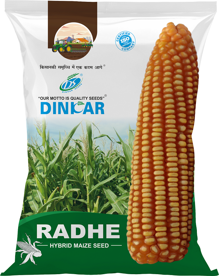 MAIZE RADHE 