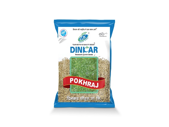 CUMIN POKHRAJ