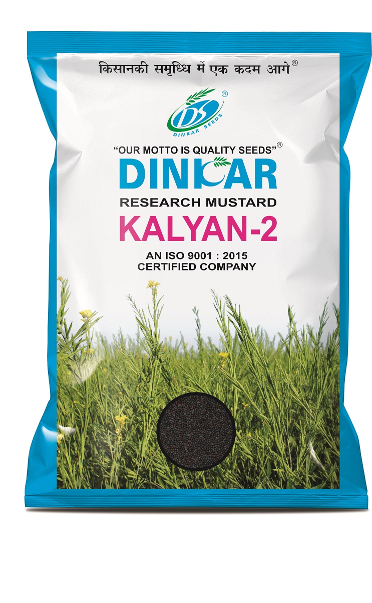 MUSTARD KALYAN 2
