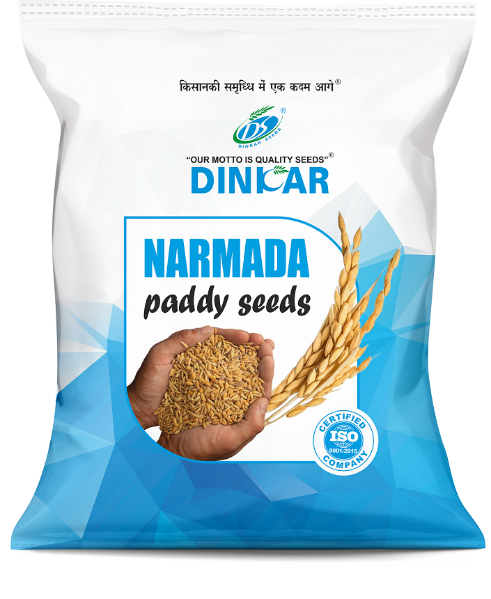 PADDY NARMADA 