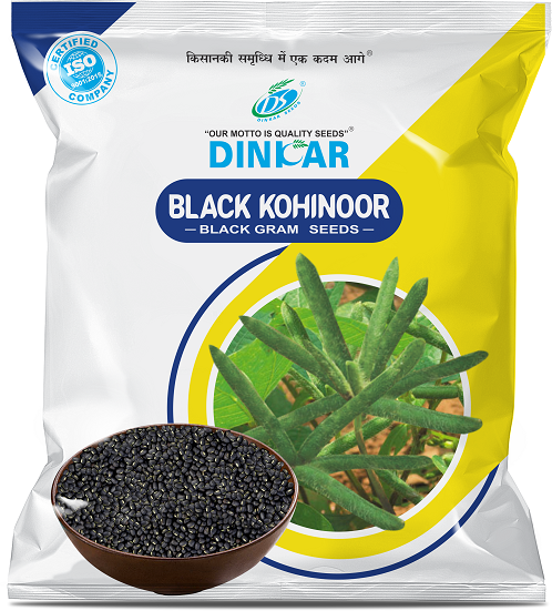 BLACK GRAM BLACK KOHINOOR 