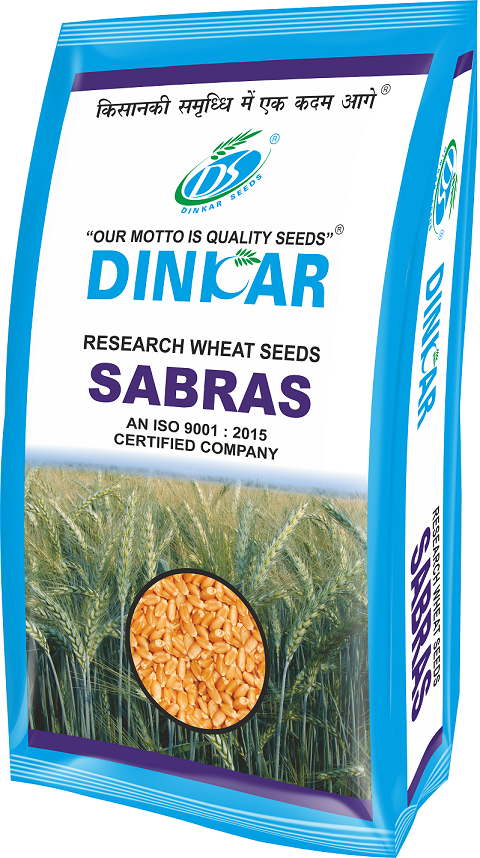 WHEAT SABRAS